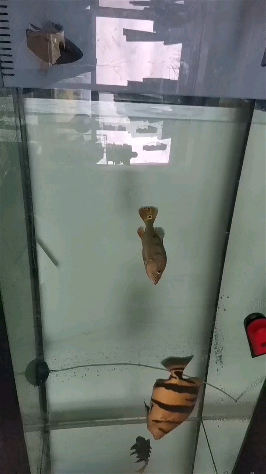 更新了