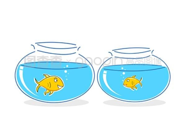 白色的魚缸底用什么顏色：如何選擇魚缸底色