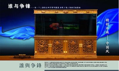 白色的魚缸底用什么顏色：如何選擇魚缸底色