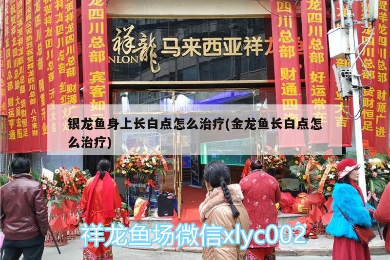 銀龍魚(yú)身上長(zhǎng)白點(diǎn)怎么治療(金龍魚(yú)長(zhǎng)白點(diǎn)怎么治療)