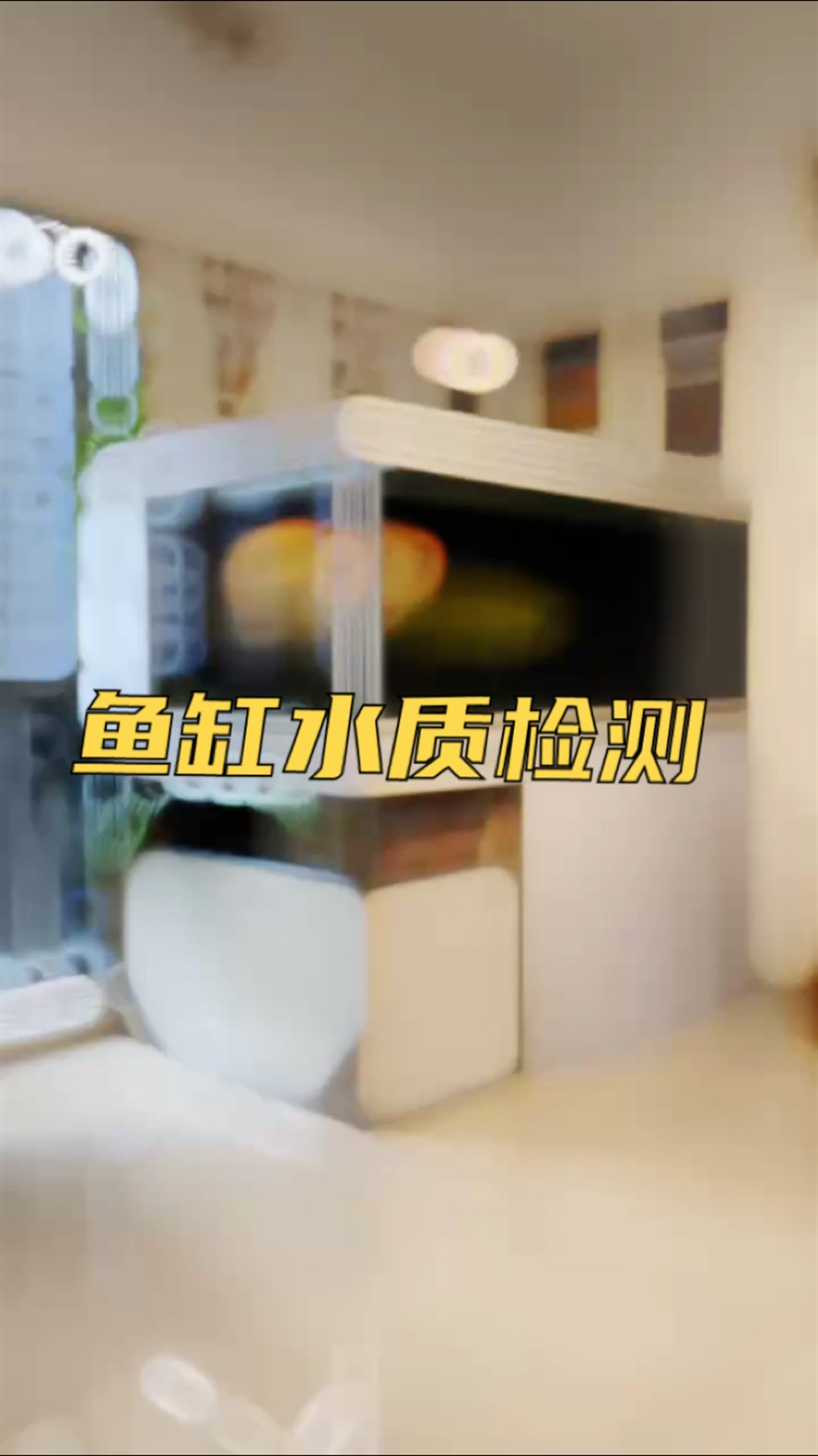 魚缸換水前，先檢測一下水質！