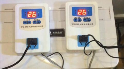 冬天魚缸加熱棒費電嗎：冬天魚缸加熱棒的研究領域，冬季養魚的技巧和技巧
