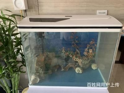 搬家魚缸怎么處理：搬家魚缸的處理方式 搬家魚缸怎么處理：搬家魚缸的處理方式 魚缸百科 第1張