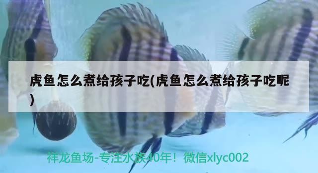虎魚怎么煮給孩子吃(虎魚怎么煮給孩子吃呢)