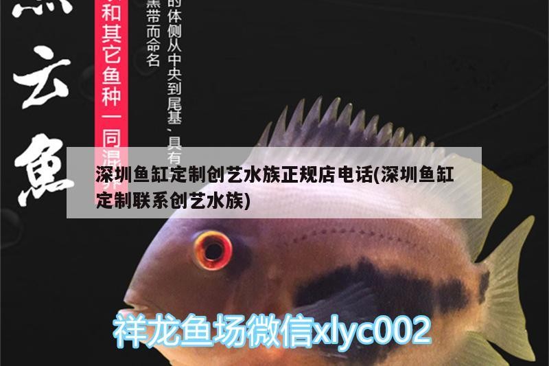 深圳魚缸定制創(chuàng)藝水族正規(guī)店電話(深圳魚缸定制聯(lián)系創(chuàng)藝水族)