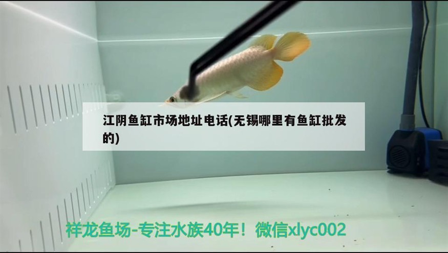 江陰魚缸市場地址電話(無錫哪里有魚缸批發的)