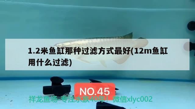 1.2米魚(yú)缸那種過(guò)濾方式最好(12m魚(yú)缸用什么過(guò)濾)