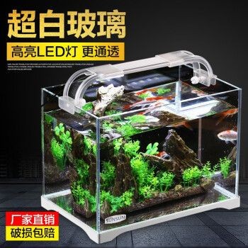 玻璃魚缸是什么時(shí)候發(fā)明的：《玻璃魚缸》小說《玻璃魚缸》小說《玻璃魚缸》 玻璃魚缸是什么時(shí)候發(fā)明的：《玻璃魚缸》小說《玻璃魚缸》小說《玻璃魚缸》 魚缸百科 第1張
