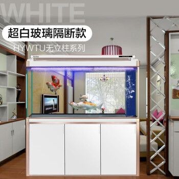 玻璃魚缸是什么時(shí)候發(fā)明的：《玻璃魚缸》小說《玻璃魚缸》小說《玻璃魚缸》 玻璃魚缸是什么時(shí)候發(fā)明的：《玻璃魚缸》小說《玻璃魚缸》小說《玻璃魚缸》 魚缸百科 第3張