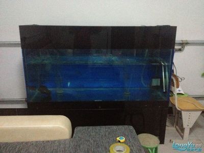 超大的魚缸：超大魚缸的保養與清洗需要注意以下幾點：超大魚缸的保養與清洗