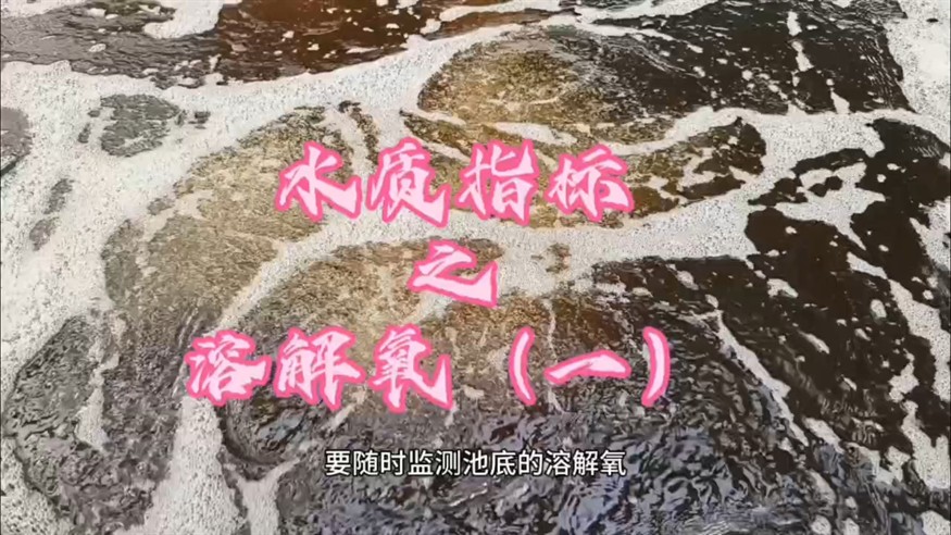 水質指標分享