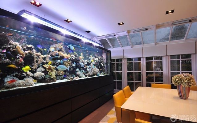 武漢海平面水族有限公司（武漢的海平面） 武漢海平面水族有限公司（武漢的海平面） 全國水族館企業名錄 第1張