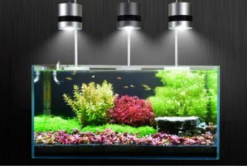 伊川縣悠悠魚生態壁畫門市（伊川縣悠悠魚生態壁畫門市地址）
