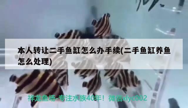 本人轉讓二手魚缸怎么辦手續(二手魚缸養魚怎么處理)