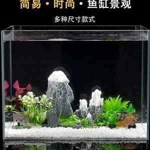 矮魚缸造景：如何進行矮魚缸造景