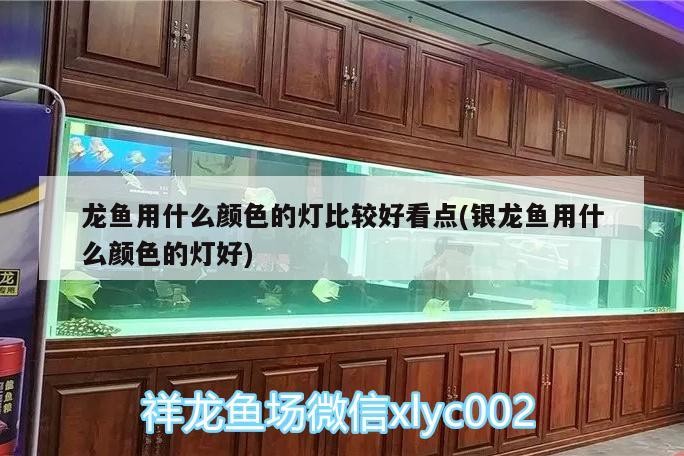 除了上述食物，還有哪些對龍魚外寄有防治作用，龍魚外寄生蟲治療劑推薦,外寄生蟲治療劑推薦