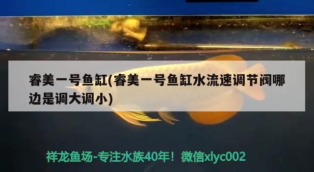 睿美一號魚缸(睿美一號魚缸水流速調節閥哪邊是調大調小) 睿美一號魚缸(睿美一號魚缸水流速調節閥哪邊是調大調小) 森森魚缸