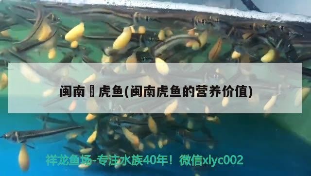 魚缸過濾器選購指南:自制魚缸過濾器魚缸上置過濾器對于養(yǎng)魚愛好者的必備知識 閩南蟳虎魚(閩南虎魚的營養(yǎng)價值) 虎魚百科 閩南蟳虎魚(閩南虎魚的營養(yǎng)價值) 閩南蟳虎魚(閩南虎魚的營養(yǎng)價值) 虎魚百科