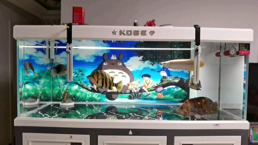 悠然自得