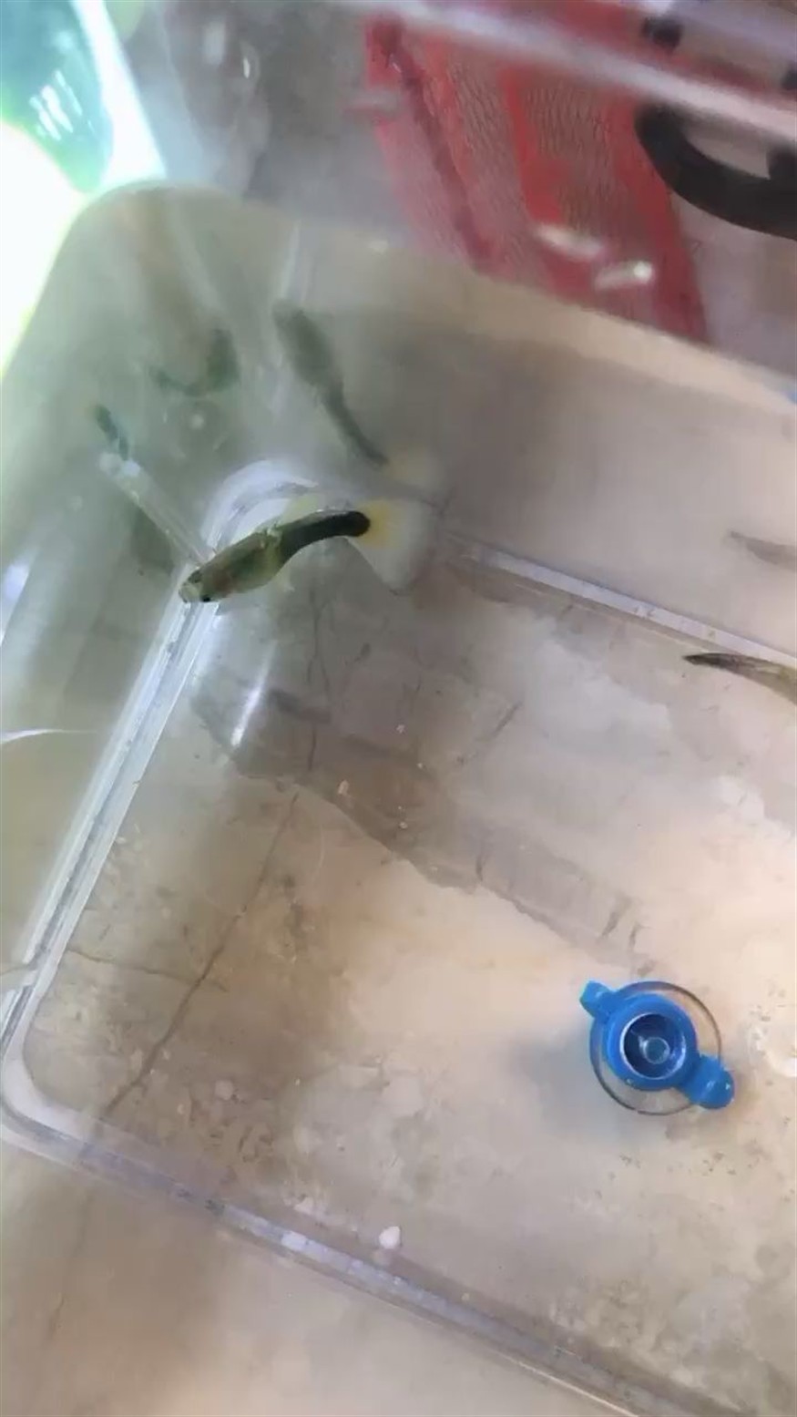 幫忙看看有沒有被賣家忽悠？