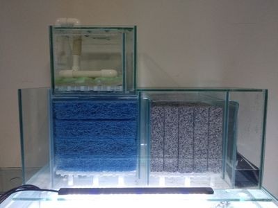 帶底沙的魚缸怎么過濾：帶底沙的魚缸可以通過哪些方式進行過濾