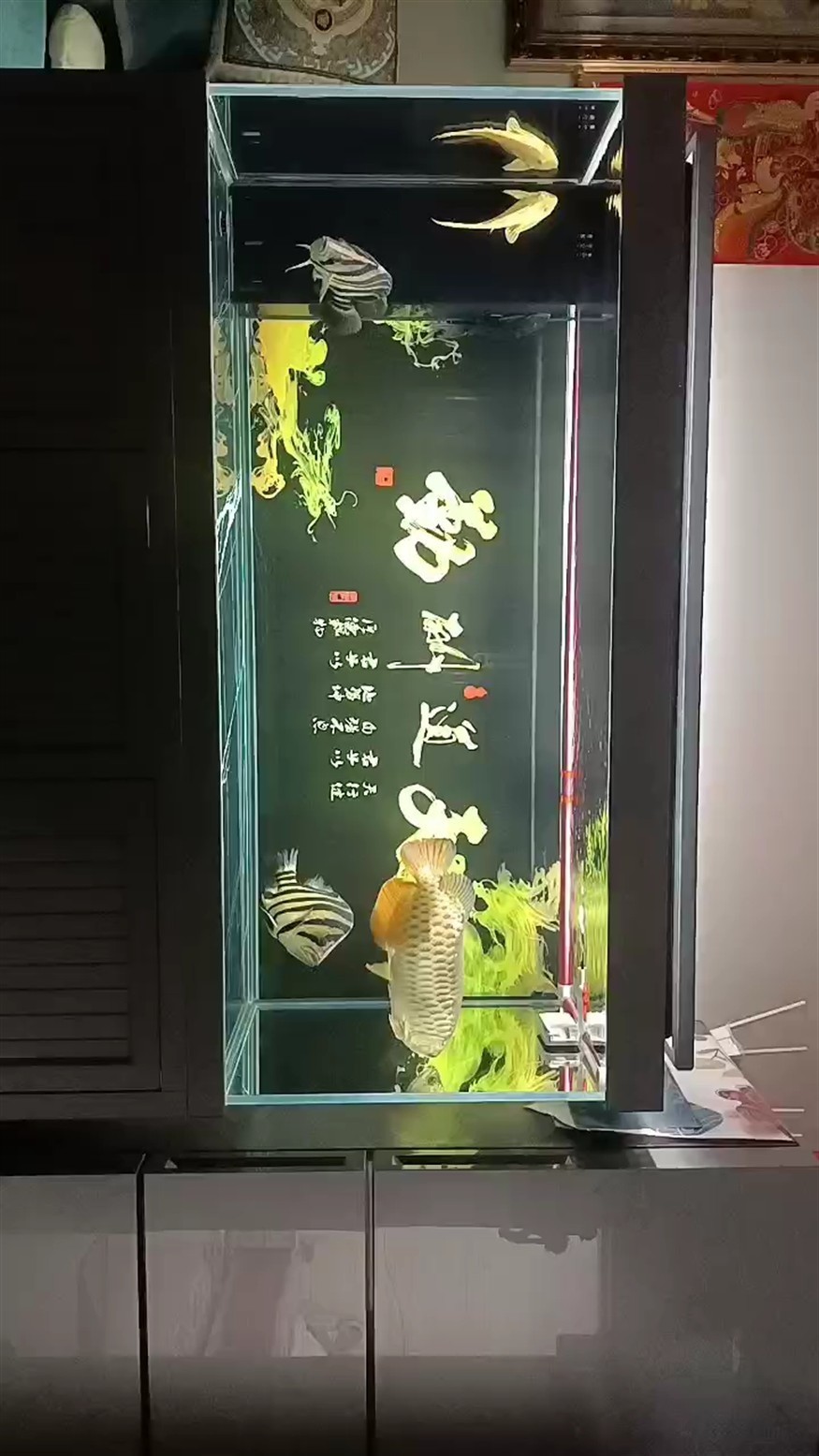 打卡一下。
