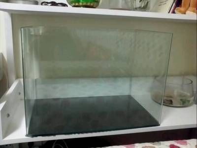 玻璃魚缸消毒方法：幾種常見的玻璃魚缸消毒方法