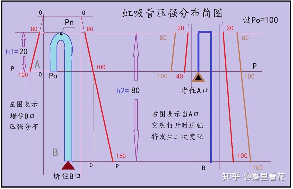 抽魚缸的水是什么原理：抽魚缸水的主要原理和操作方法
