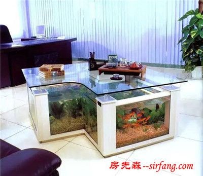 玻璃小魚缸養(yǎng)什么魚好：哪些魚適合在玻璃小魚缸中飼養(yǎng)？