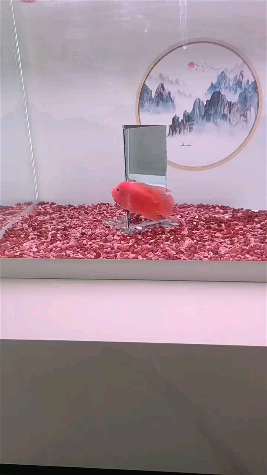 十四天
