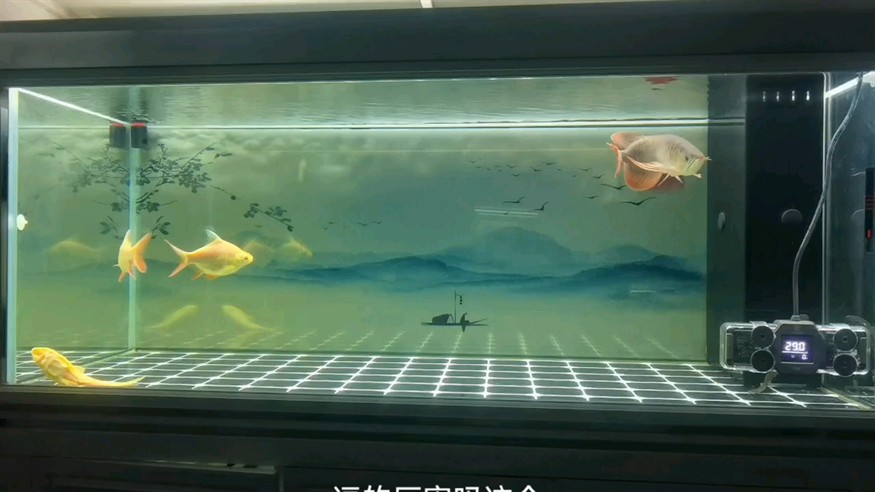 兜嘴能追回來嗎