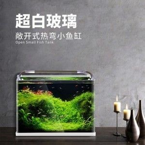 超白玻璃魚缸和熱彎玻璃魚缸哪個好看：超白玻璃魚缸和熱彎玻璃魚缸哪個更好看