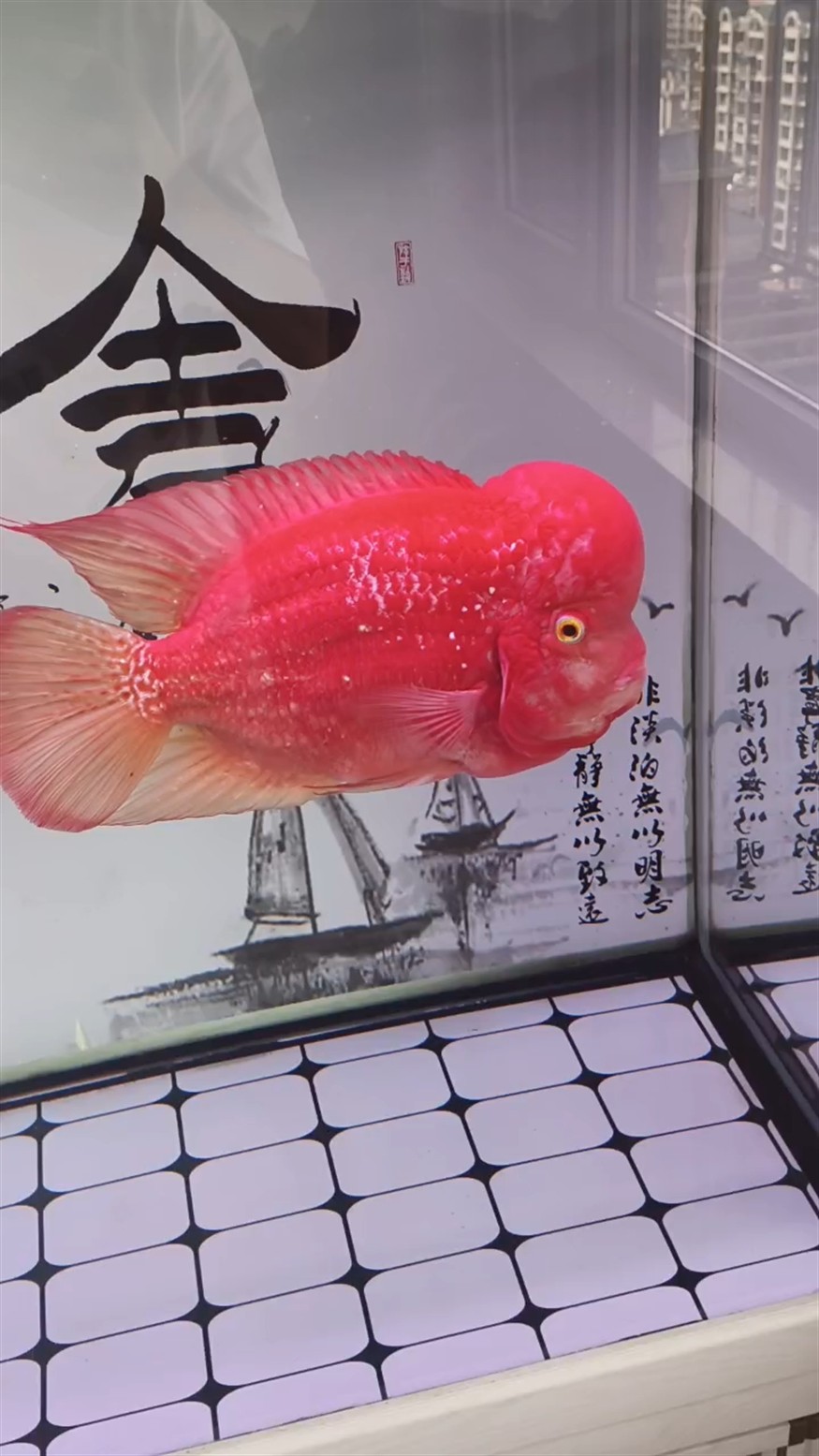 三年了，是否顯得有些老態了