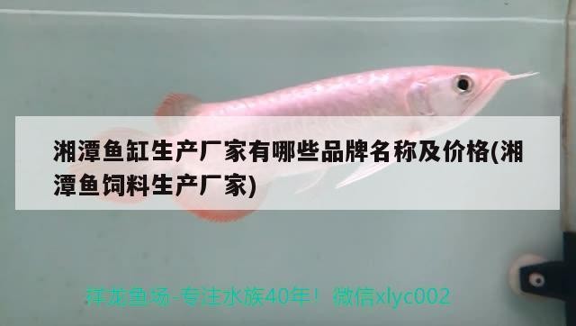 湘潭魚缸生產廠家有哪些品牌名稱及價格(湘潭魚飼料生產廠家)