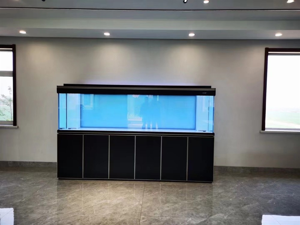 ?彩鰈龍魚缸頂流