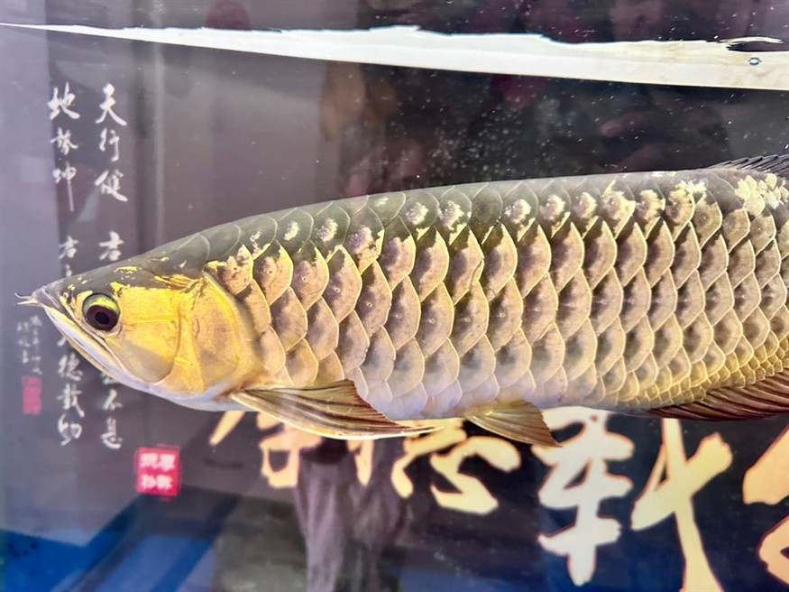 好久沒拍照了，又肥了。