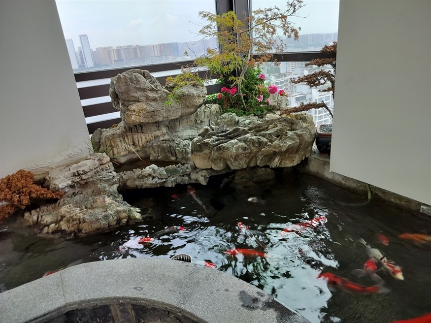 辦公室弄得高大尚 龍魚論壇 第1張 辦公室弄得高大尚 辦公室弄得高大尚 龍魚論壇 第1張