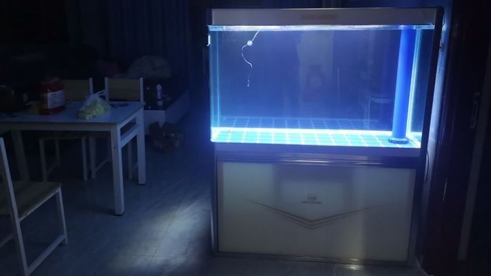 森森HZF系列高檔龍魚缸（森森龍魚缸怎么樣）