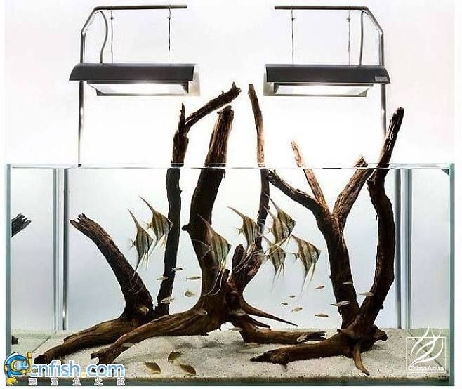 大型生態(tài)魚缸造景墻：大型生態(tài)魚缸造景墻是一種集美觀和實(shí)用性于一體的裝飾方案