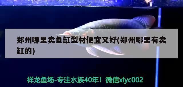 鄭州哪里賣魚缸型材便宜又好(鄭州哪里有賣缸的)