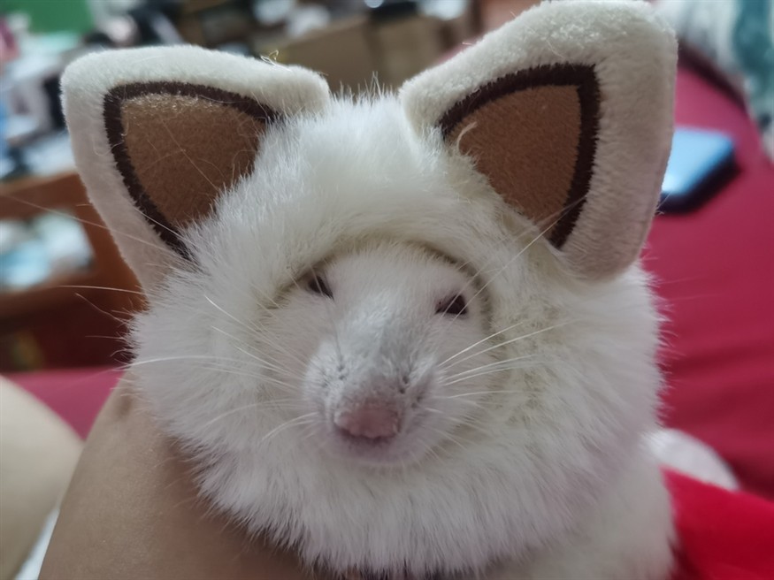 藝術照