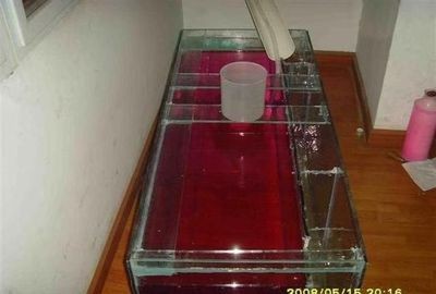 100升水下多少鹽魚缸:100升水下多少鹽魚缸加鹽 魚缸百科 第1張 100升水下多少鹽魚缸:100升水下多少鹽魚缸加鹽 100升水下多少鹽魚缸:100升水下多少鹽魚缸加鹽 魚缸百科 第1張