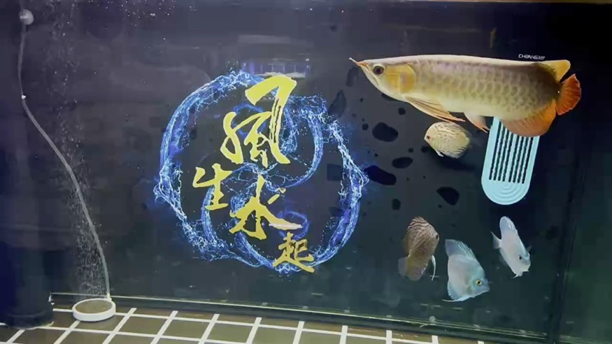 到家第6天。狀態(tài)剛剛的。背上不知道為啥撞了。