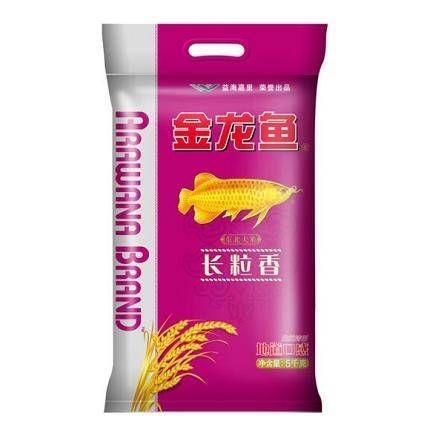 金龍魚5公斤多少錢