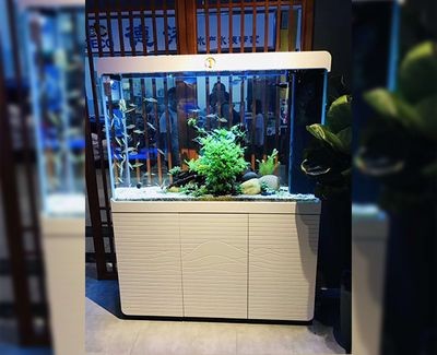 成品缸和定做魚缸區別：定做魚缸與成品缸的區別