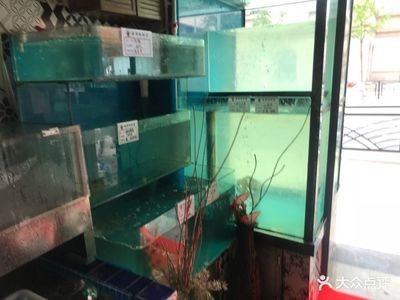 百盛魚缸怎么樣：建湖百盛玻璃制品有限公司投訴百盛魚缸質量問題