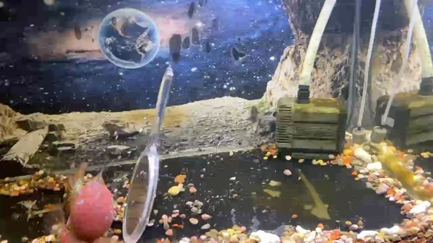 小暴脾氣