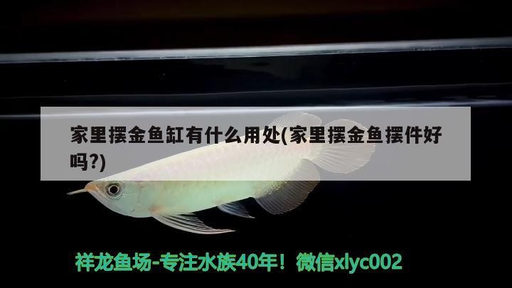 家里擺金魚缸有什么用處(家里擺金魚擺件好嗎?)