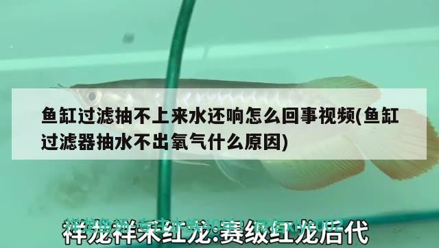 魚缸過濾抽不上來水還響怎么回事視頻(魚缸過濾器抽水不出氧氣什么原因)