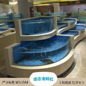 除了玻璃魚缸還有什么魚缸好用：塑料魚缸和玻璃魚缸哪個好